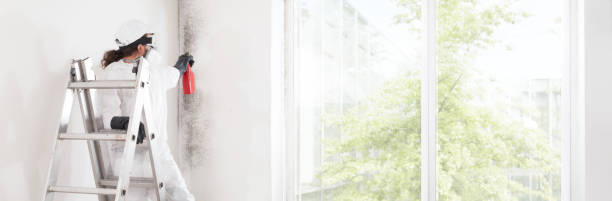 Best Mold Documentation for Insurance Claims  in Fair Oaks, GA